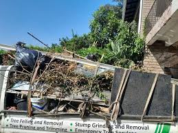 Best Basement Cleanout  in Oak Point, TX